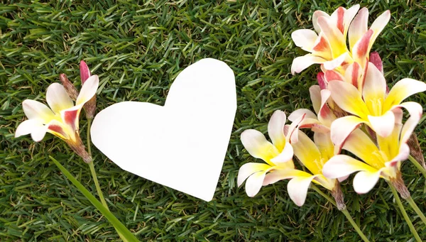 Nota en blanco en forma de corazón, con flores sobre hierba verde . —  Fotos de Stock