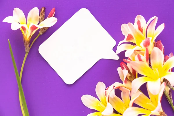 Blank chat bubble note with copy-spce and flowers, purple surface. — Stock Photo, Image