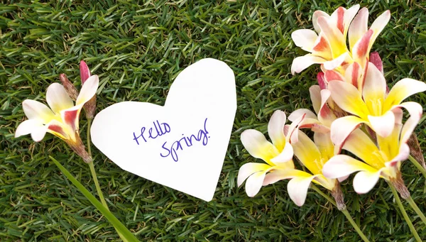 Nota en forma de corazón con palabras Hello Spring!, con flores sobre hierba verde . —  Fotos de Stock