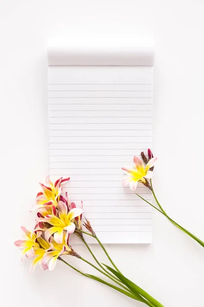 Colorful spring flowers, with blank open notepad for text, on white background. — Stock Photo, Image