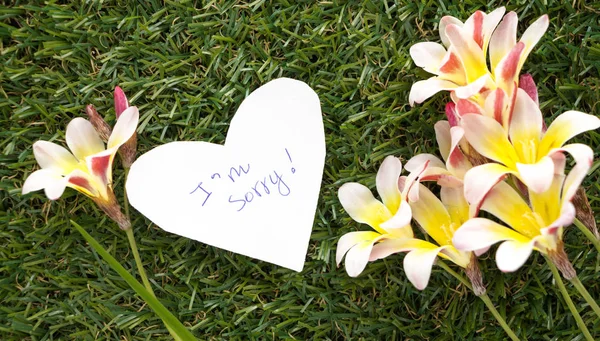 Note in shape of heart with words I'm Sorry!, with flowers on green grass. — Stock Photo, Image