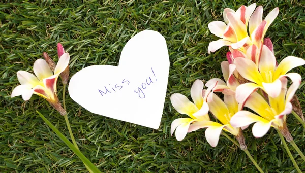 Nota a forma di cuore con le parole Miss you!, con fiori su erba verde . — Foto Stock