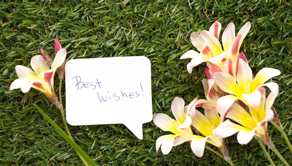 Note in shape of a chat bubble, with words Best Wishes! and flowers on green grass. — Stock Photo, Image