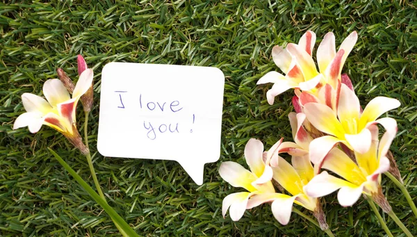 Σημειώστε στο σχήμα της μια συνομιλία φούσκα, με λόγια ' αγαπώ! και τα λουλούδια για την πράσινη χλόη. — Φωτογραφία Αρχείου