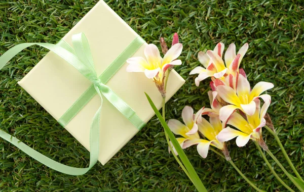 Caja de regalo verde con un arco y flores, sobre hierba verde . — Foto de Stock