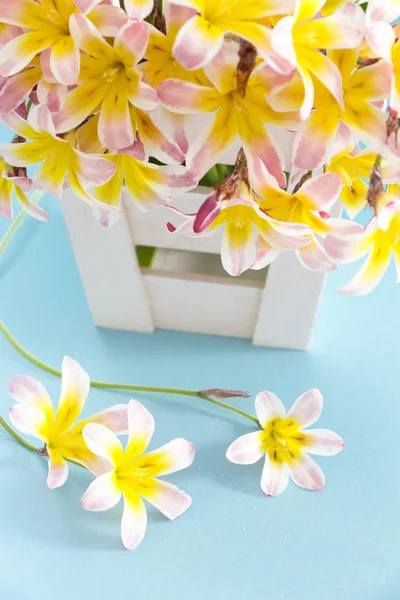 다채로운 봄 꽃 꽃다발, 밝은 파란색 배경에 백색 나무 컨테이너에. — 스톡 사진