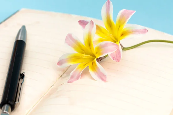 Flores coloridas primavera, com páginas de diário em branco aberto e caneta, fundo close-up . — Fotografia de Stock