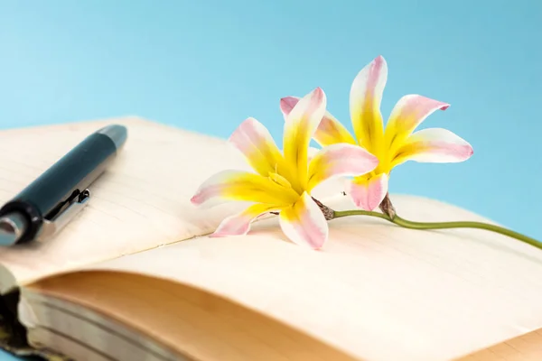Boş açık günlük sayfaları ve kalem, closeup arka plan ile renkli bahar çiçekleri. — Stok fotoğraf