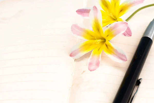 Flores coloridas primavera, com páginas de diário em branco aberto e caneta, fundo close-up . — Fotografia de Stock