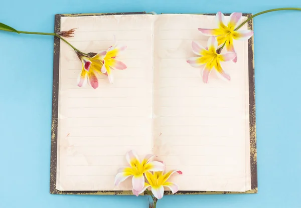 Bunte Frühlingsblumen, mit leerem Tagebuch für Text, auf hellblauem Hintergrund. — Stockfoto