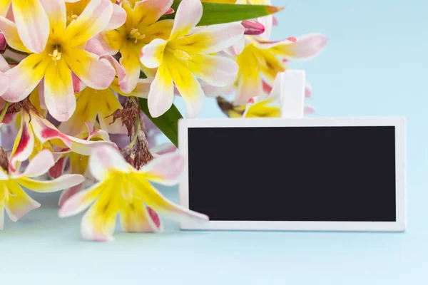 Buquê de flores de primavera colorido e sinal de quadro-negro em branco para texto, no fundo azul . — Fotografia de Stock