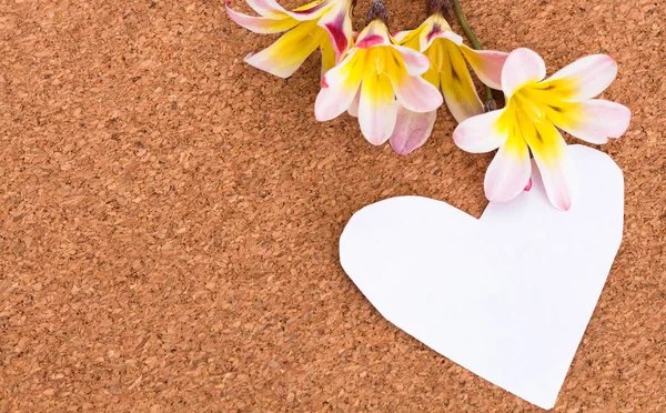 Tom anteckning i form av hjärta med kopia-spce och blommor, på cork yta. — Stockfoto