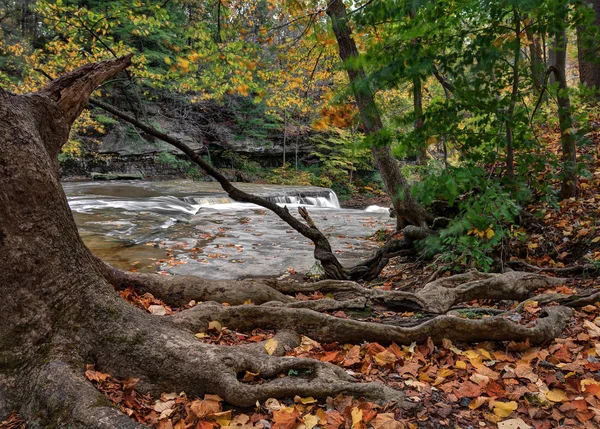 Great Falls of Tinker's Creek Gorge — Stock Photo, Image