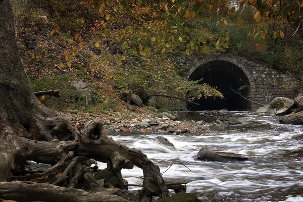 Tinker's Creek Viaduct — Stock Photo, Image