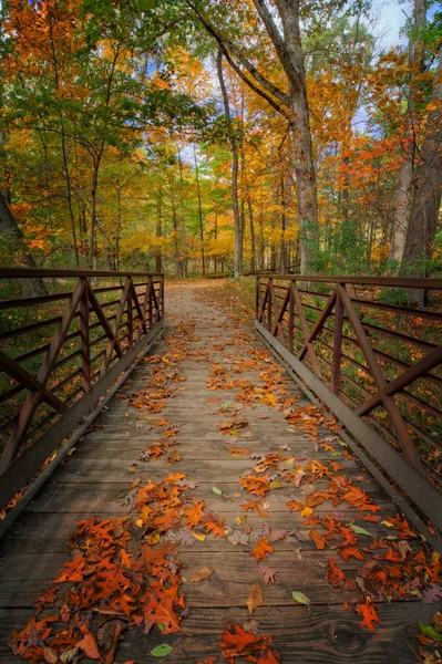 Осенний пеший мост — стоковое фото