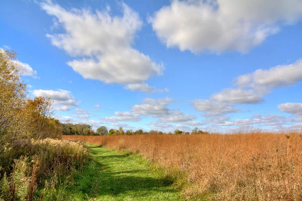 Percorso in un campo — Foto Stock