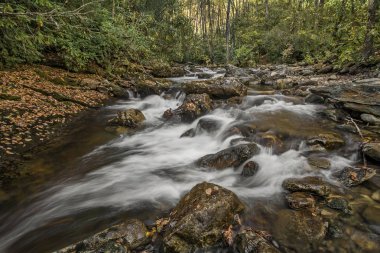 Dağ Cascade North Carolina