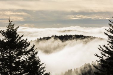 Blue Ridge Parkway üzerinde sisli gündoğumu