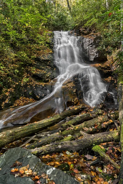 Log Hollow Falls Cascada — Foto de Stock