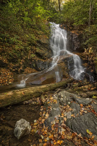 Log Hollow Falls Waterfall — Stock Photo, Image