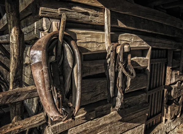 Aderência do cavalo antigo — Fotografia de Stock