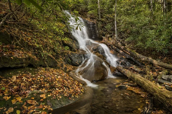 Log Hollow Falls Cascada — Foto de Stock