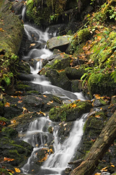 Mingo Falls Waterfall — Stock Photo, Image