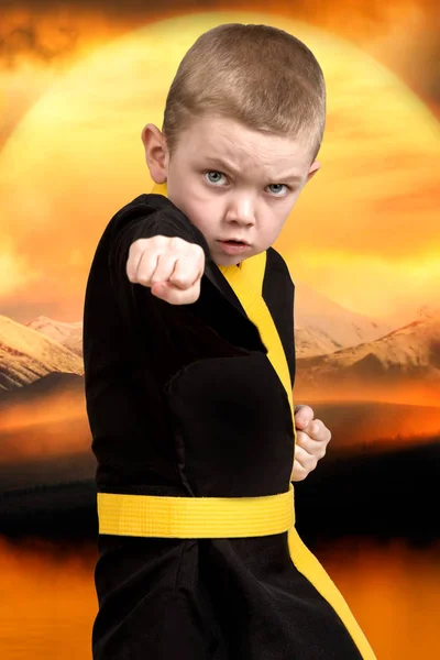 El karate de niño pequeño muestra las técnicas del karate de arte marcial japonés. Entrenamiento de jóvenes atletas, Campeones —  Fotos de Stock