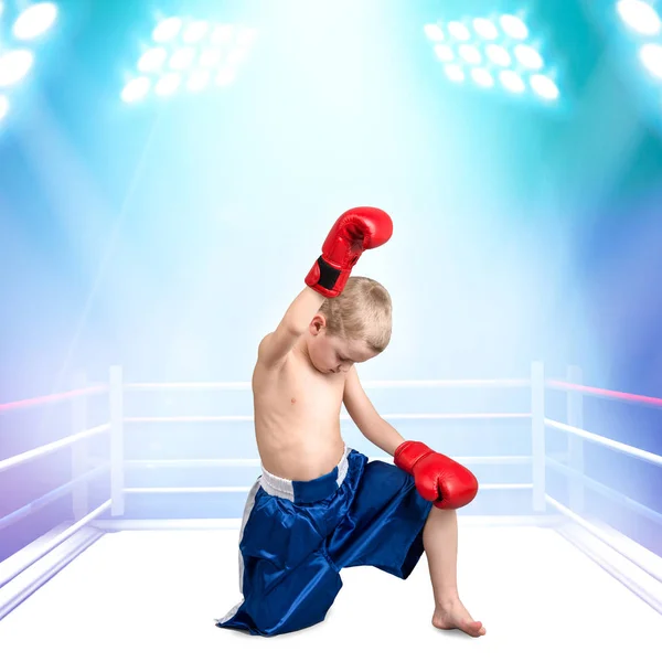 Pequeño boxeador de niño con guantes rojos y pantalones cortos en el fondo del ring.Little champion.The grandes victorias . —  Fotos de Stock