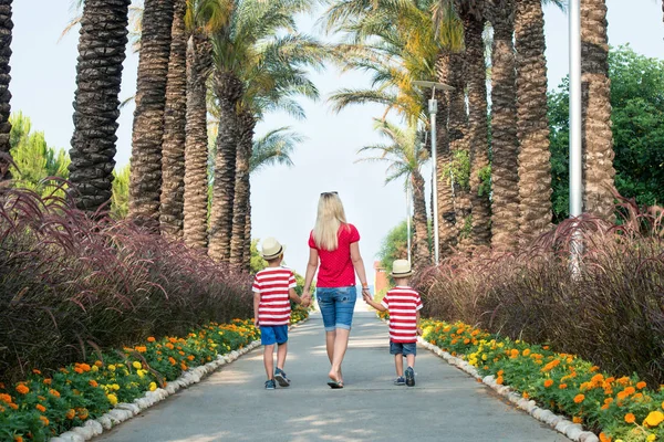Mom and two son in hats to walk through the alley of palm trees.Family summer vacation.