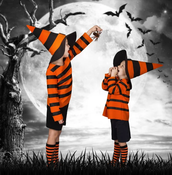 Halloween.Two fratelli in costume passeggiando in un bosco spaventoso. Spaventarsi a vicenda con ragni spaventosi — Foto Stock