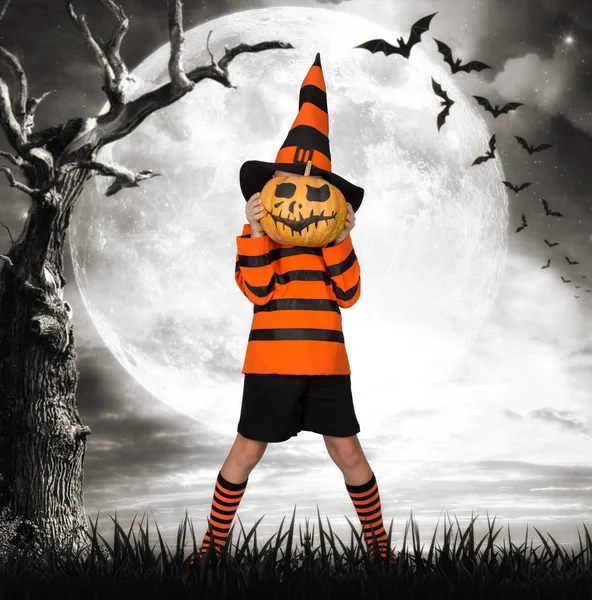 Halloween.Boy in costume con una zucca in testa in una terribile foresta vuota . — Foto Stock