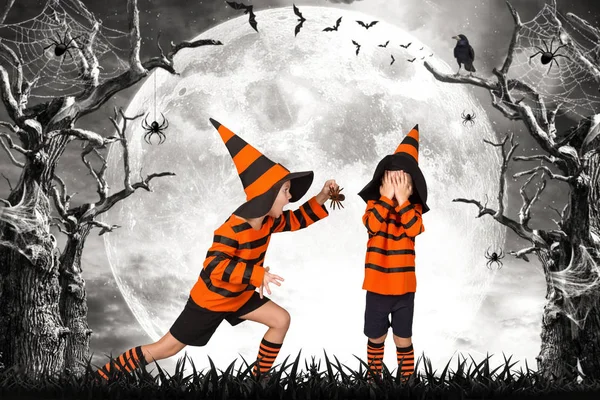 Хэллоуин. Два брата в костюме ходят по страшным лесам. Напугать друг друга страшными пауками — стоковое фото