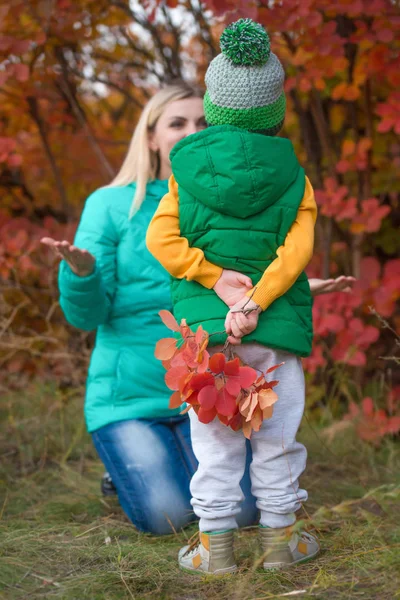 El niño se reunió para el ramo de otoño mamá de hojas. Sorpresa para la madre — Foto de Stock