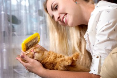 Kadın Kızıl saçlı kedisini penye