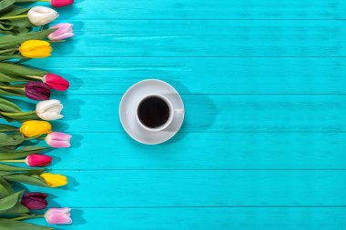 Bahar arka plan! Bir buket renkli Lale ve mavi arka plan üzerinde kahve. Sevgililer günü, Woman's Day, anneler günü, Paskalya için tatil tebrik kartı!