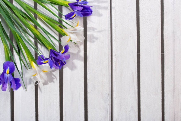 Spring background!A bouquet of irises on a wooden background.Holiday greeting card for Valentine's Day, Woman's Day, Mother's Day, Easter!
