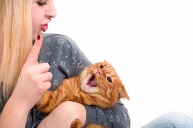 Genç bir kadın ve bir kırmızı kedi birlikte oynuyoruz.
