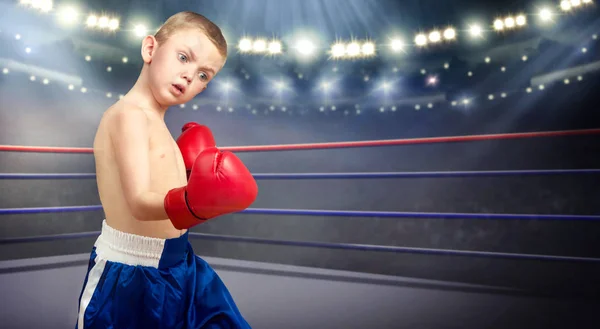 Boxeador Infantil Ring Pequeño Campeón —  Fotos de Stock