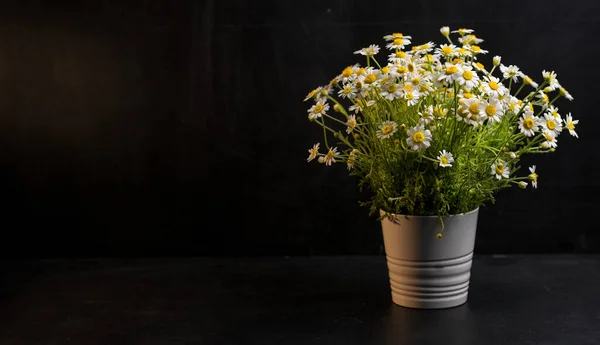 Bouquet of field daisies in a white pot on a black background.