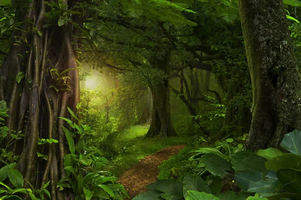 Deep tropical jungles of Southeast Asia in august