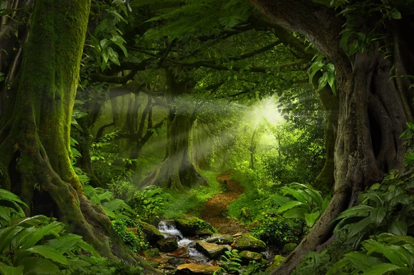 Southeast Asian tropical jungle