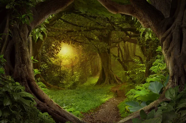 Southeast Asian tropical jungle