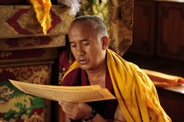 Buddhist teacher reading — Stock Photo, Image