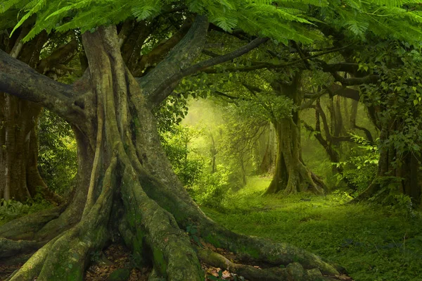 Southeast Asian tropical jungle