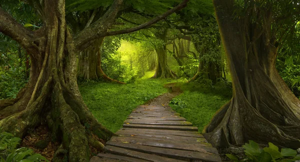 Zuidoost Aziatische Tropische Jungle — Stockfoto