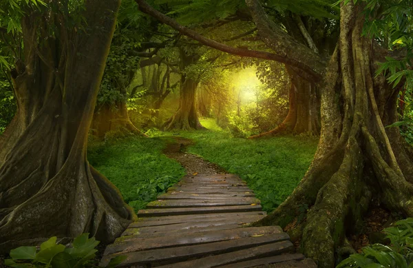 Southeast Asian tropical jungle