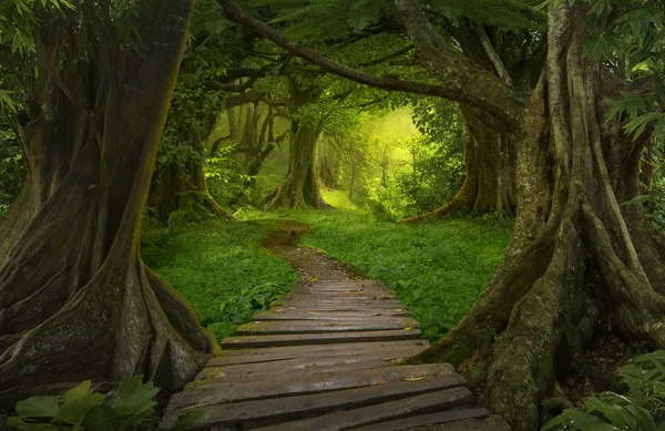 Südostasiatischer Tropischer Urwald — Stockfoto