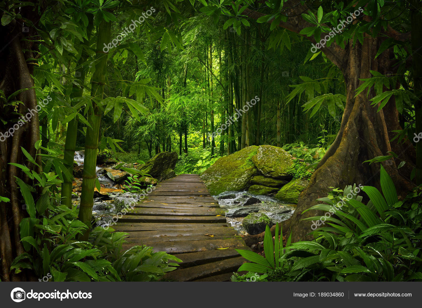 31 723 Jungle Temple Stock Photos Free Royalty Free Jungle Temple Images Depositphotos 31 723 Jungle Temple Stock Photos Free Royalty Free Jungle Temple Images Depositphotos