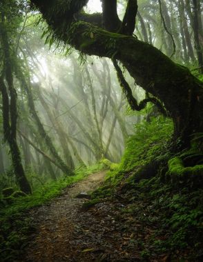 Bagan Budist tapınağı